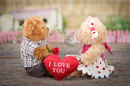 love