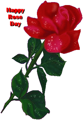 Happy Rose Day GIF Images Pics Photos 2022 | Rose Day FB Status For BF/GF » #1 Entertainment & Top News Blog