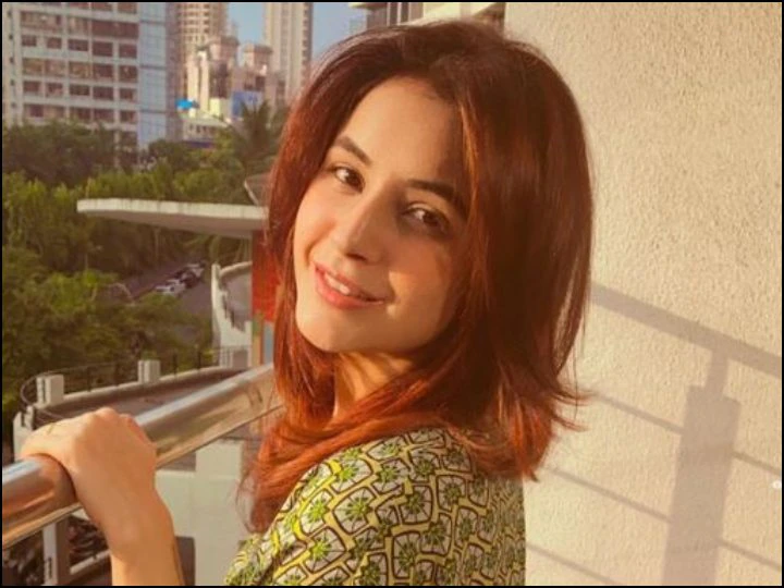 शहनाज गिल को आई सिद्धार्थ की याद