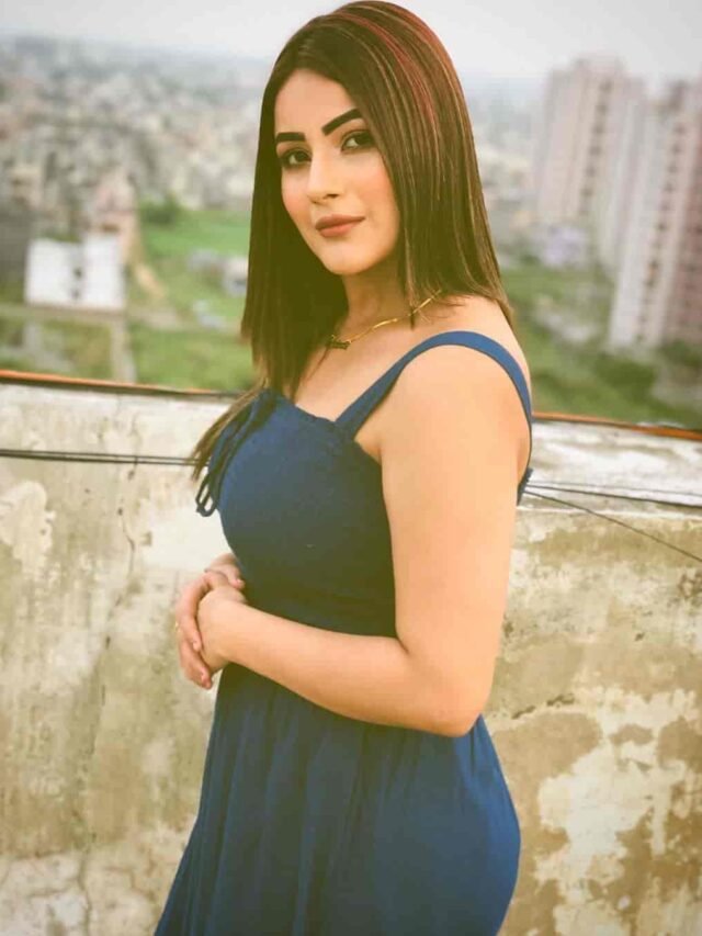 शहनाज की ग्लैमरस फोटोज देखकर दीवाने हुए फैंस