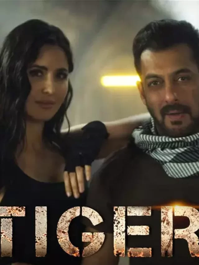 स्वतंत्रता दिवस 2022: सलमान खान ने सभी से ‘टाइगर 3 के लिए तैयार हो जाओ’ के लिए कहा