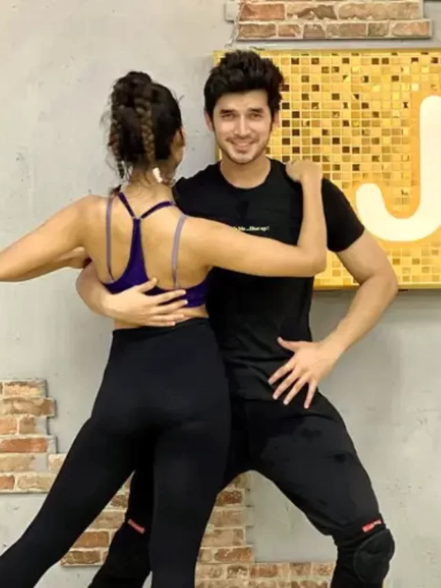 झलक दिखला जा 10: क्या अनुपमा के पारस कलानावत और निया शर्मा शो