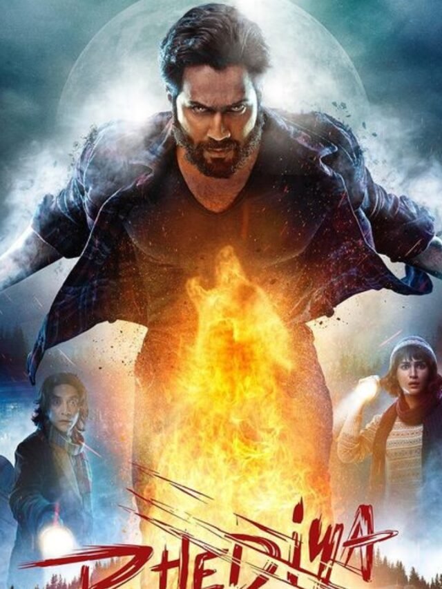 वन-लाइन आइडिया सुनने के बाद वरुण धवन ने भेड़िया को हां कहा