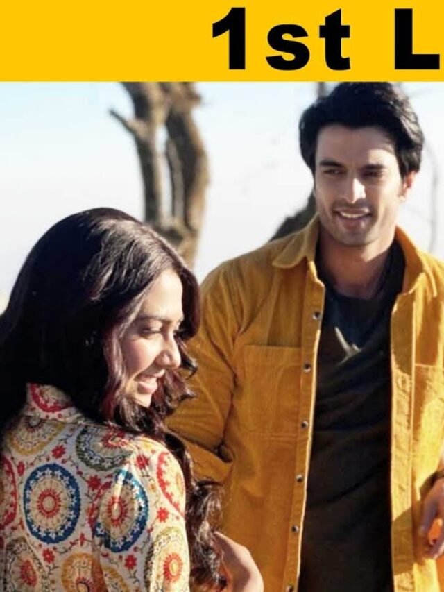 भेड़िया इश्क़ और जूनून: गशमीर महाजनी और करण कुंद्रा का शो कुछ नया करने का वादा करता है