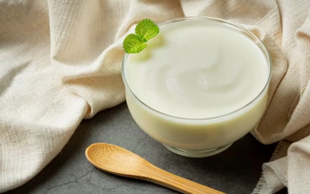 benefits of yogurt, superfood yogurt, digestive health, boost immunity, weight management benefits