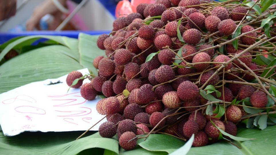 लीची स्टोरेज ट्रिक, लीची को ताजा रखने का देसी तरीका, लीची शेल्फ लाइफ बढ़ाएं, लीची फ्रेश कैसे रखें, लीची खराब होने से बचाएं
