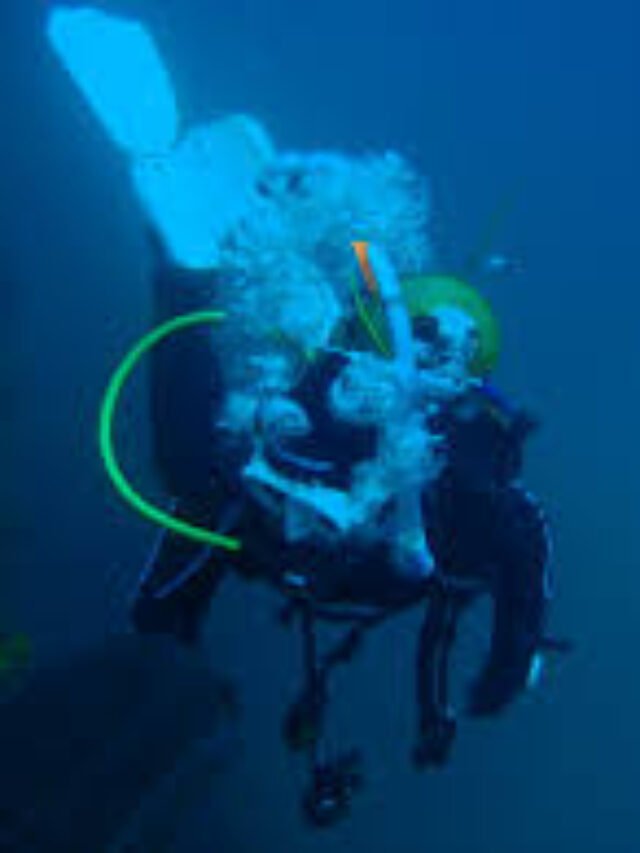 Top Scuba Diving Spots in India and Essential Safety Tips – Your Complete Adventure Guide