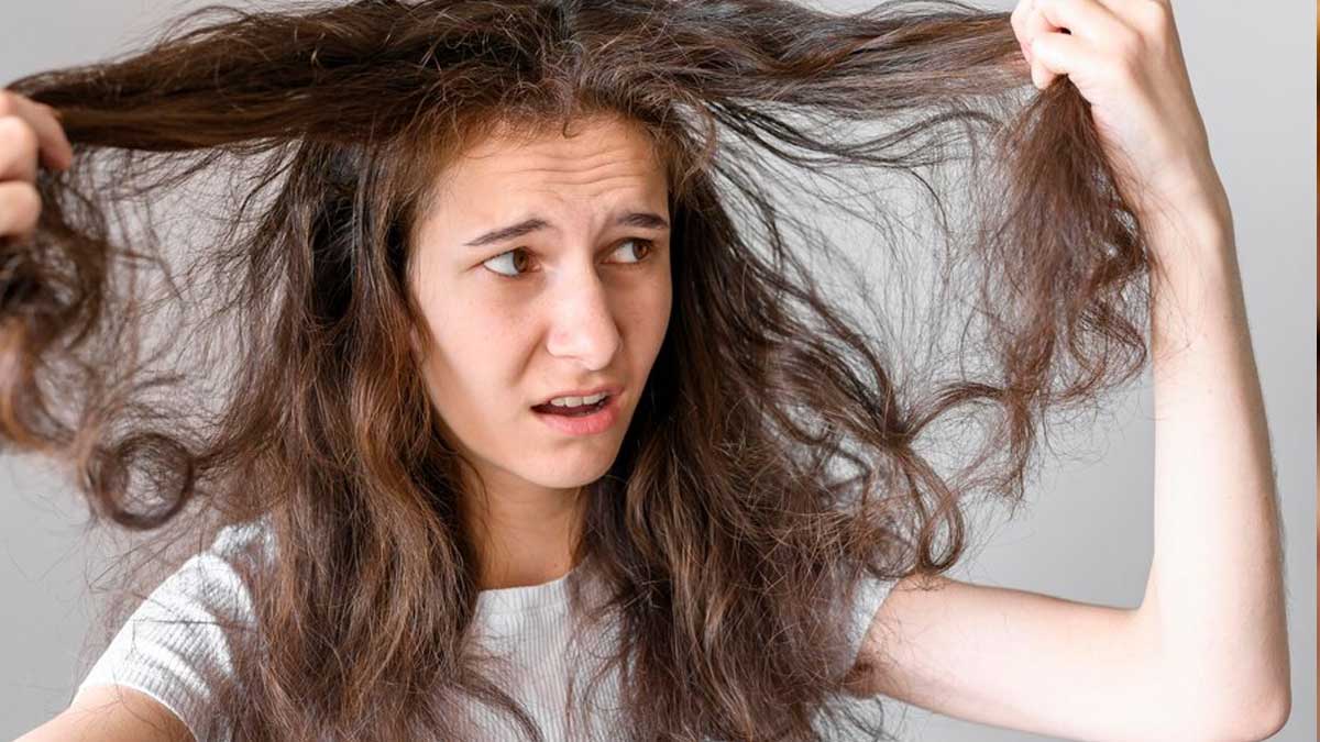 लंबे समय तक बाल न धोने से क्या होता है? scalp odor from dirty hair, dandruff due to not washing hair, hair hygiene tips, effects of not washing hair, scalp health problems
