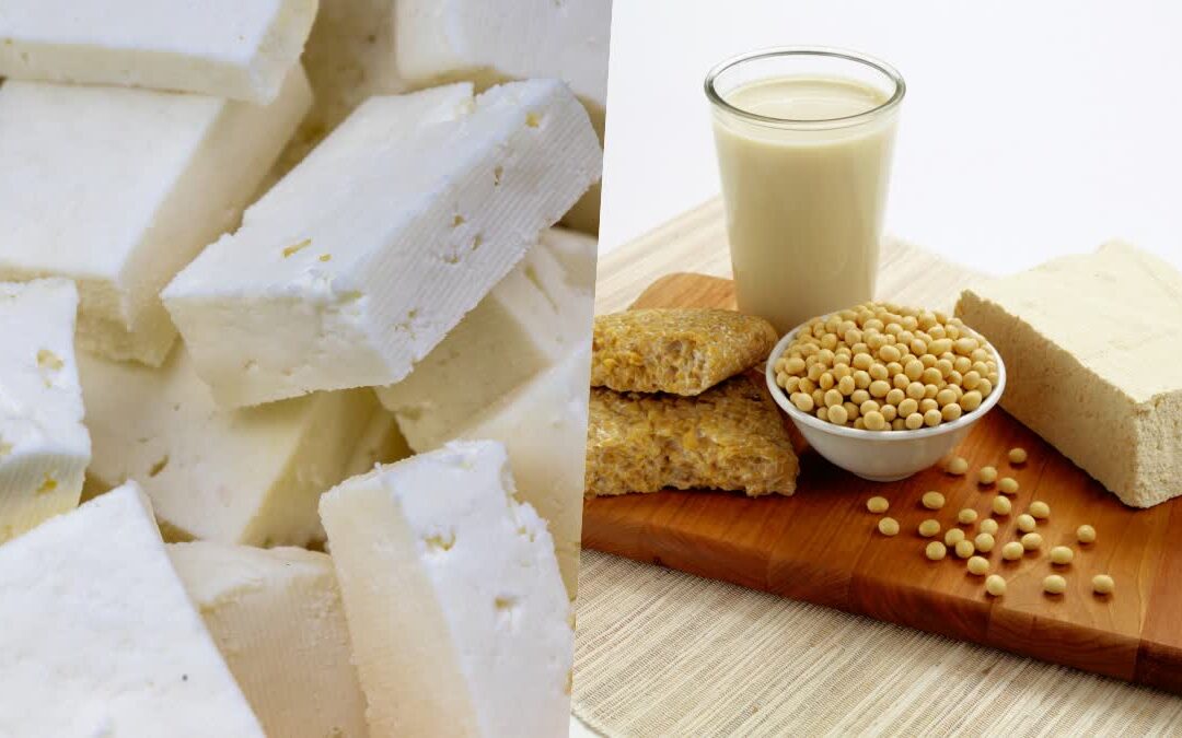 Tofu vs Paneer vs Soya: किसमें है ज्यादा प्रोटीन और कौन है आपके लिए बेहतर?