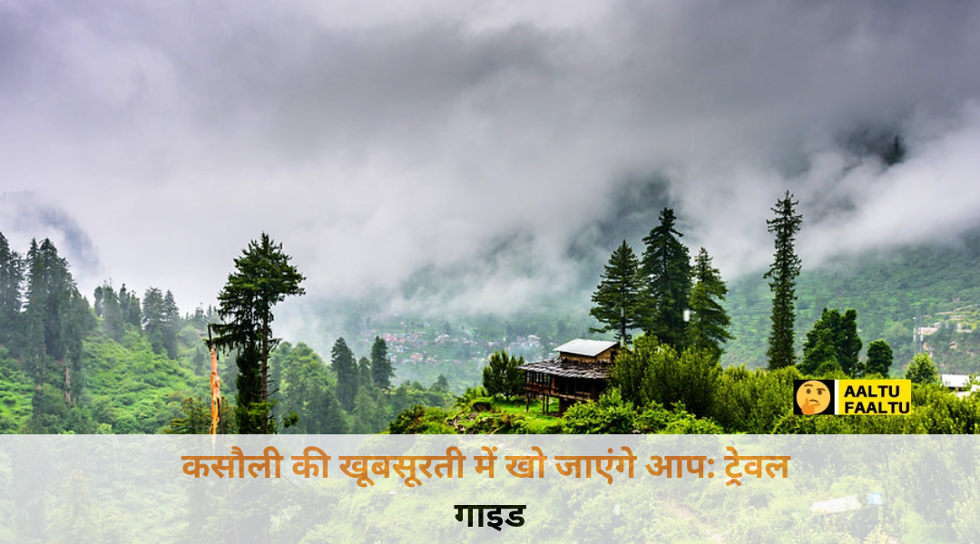 कसौली के पहाड़ों पर घने देवदार के पेड़ और धुंध के बीच से दिखती एक खूबसूरत घुमावदार सड़क।