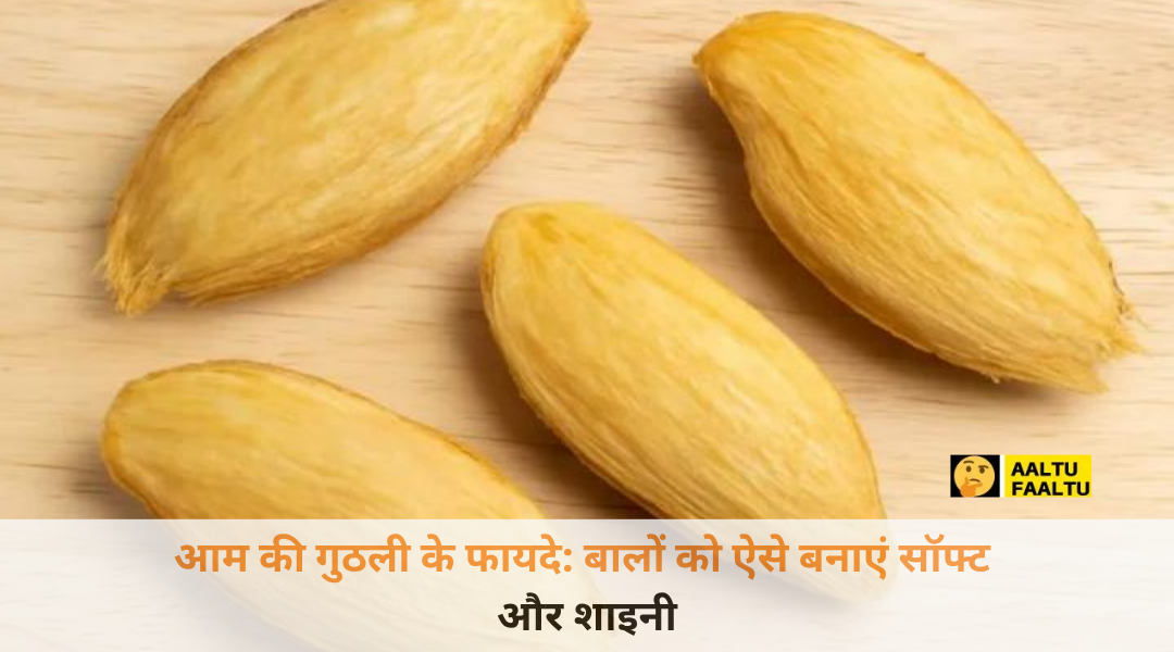 सूखे हुए आम के बीज और कटोरी में रखा उसका बारीक पाउडर जो बालों को चमकदार और रेशमी बनाने के लिए इस्तेमाल होता है।