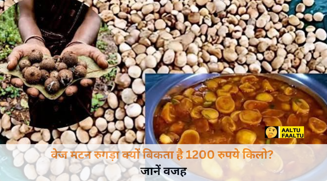 झारखंड के जंगलों का दुर्लभ वेज मटन रुगड़ा मशरूम जो 1200 रुपये प्रति किलो बिकता है इमेज टाइटल (Image Title - 92 अक्षर):