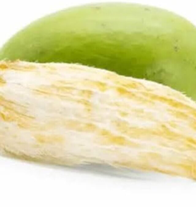 Don’t Throw Mango Seeds Away! Try This Magic Hair Remedy